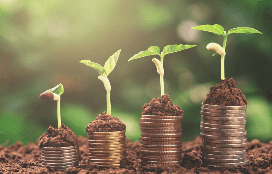 Wealth creation